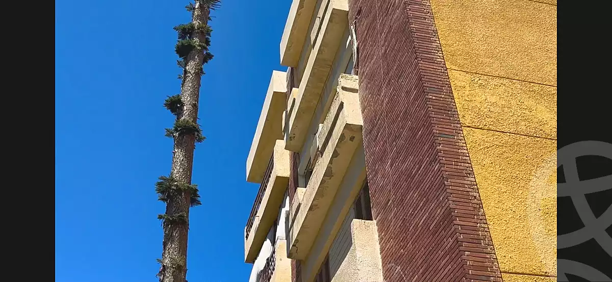 https://aqarmap.com.eg/ar/listing/7286732-for-sale-alexandria-al-mamoura-lm-mwr-lshty-deif-waly-st