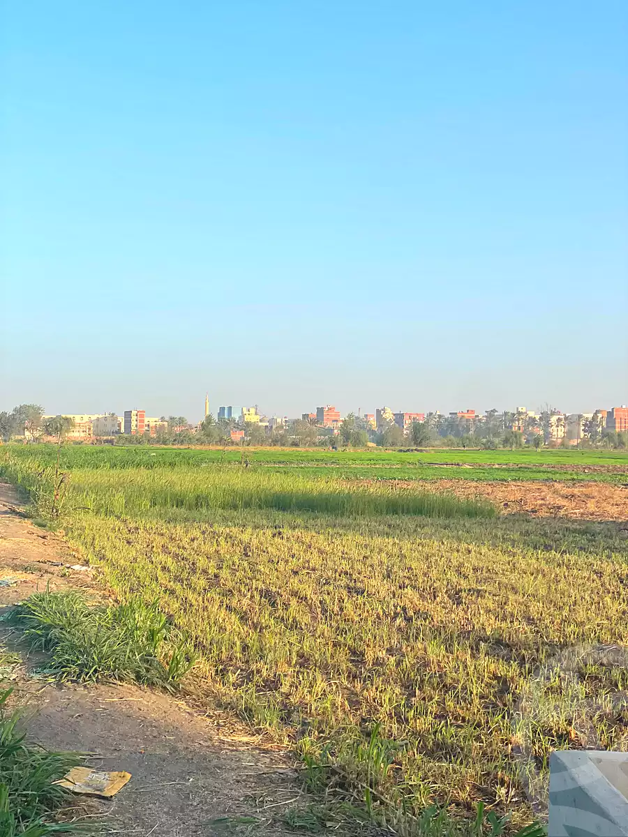 https://aqarmap.com.eg/en/listing/7049438-for-sale-qalyubia-kafr-shukr-el-safeen