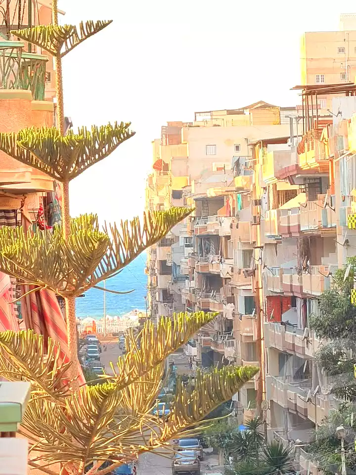 https://aqarmap.com.eg/ar/listing/7287346-for-sale-alexandria-al-agamy-shataa-el-nakheel