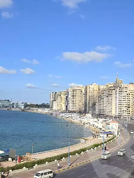 https://aqarmap.com.eg/en/listing/7287955-for-sale-alexandria-el-mandara-tryq-ljysh