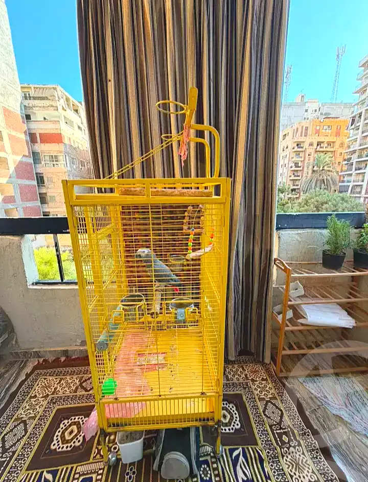https://aqarmap.com.eg/ar/listing/7290332-for-sale-alexandria-al-agamy-lbytsh-bianchiii-el-arbaeen-st
