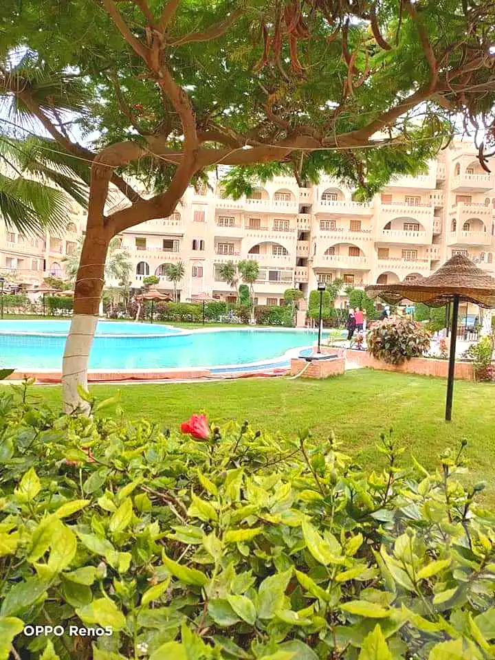 https://aqarmap.com.eg/ar/listing/7249586-for-rent-alexandria-al-agamy-shataa-el-nakheel