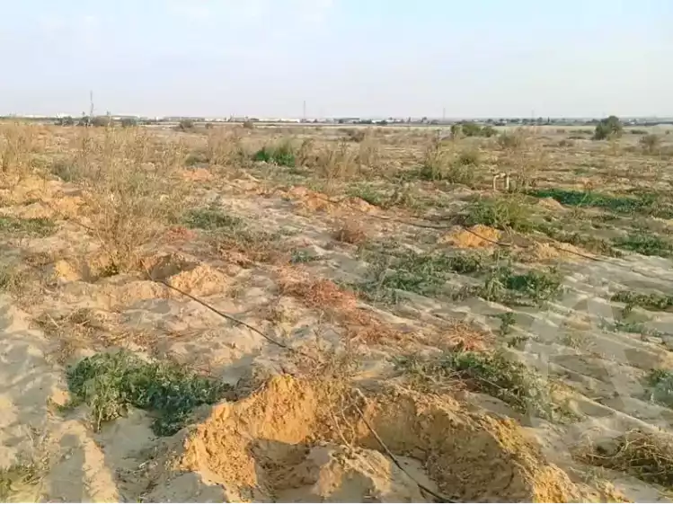 https://aqarmap.com.eg/ar/listing/7292964-for-sale-beheira-wadi-el-natrun