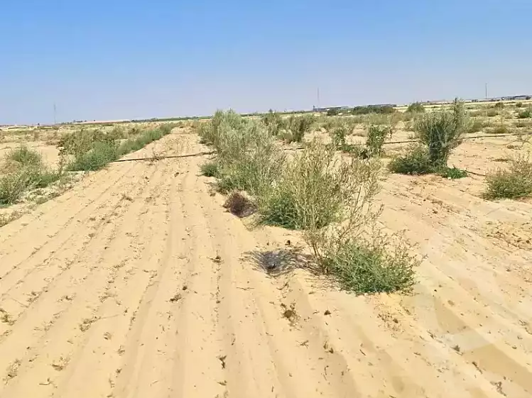 https://aqarmap.com.eg/ar/listing/7292964-for-sale-beheira-wadi-el-natrun