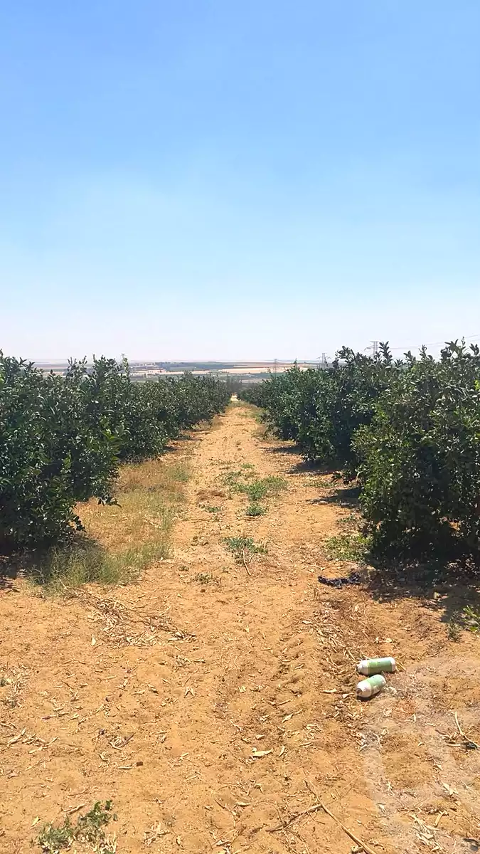 https://aqarmap.com.eg/ar/listing/7302074-for-sale-monufia-sadat-city-manteqat-el-2000-fadan