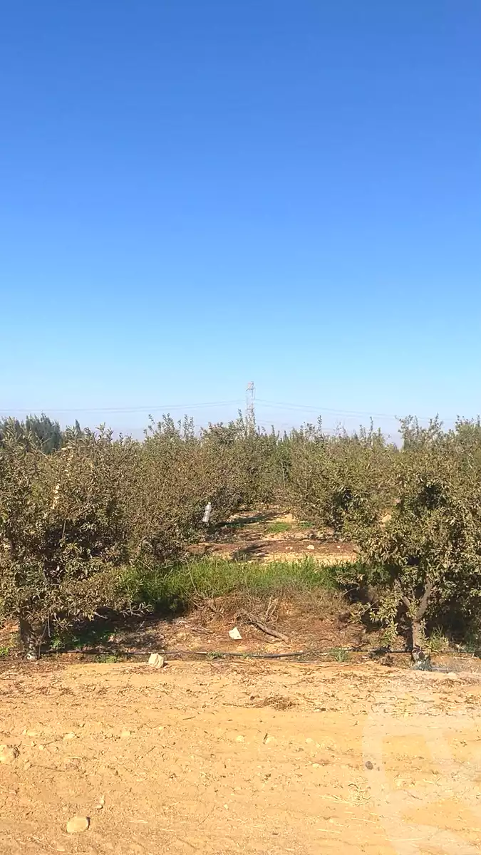 https://aqarmap.com.eg/ar/listing/7302074-for-sale-monufia-sadat-city-manteqat-el-2000-fadan