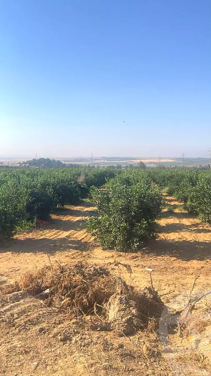 https://aqarmap.com.eg/ar/listing/7302074-for-sale-monufia-sadat-city-manteqat-el-2000-fadan