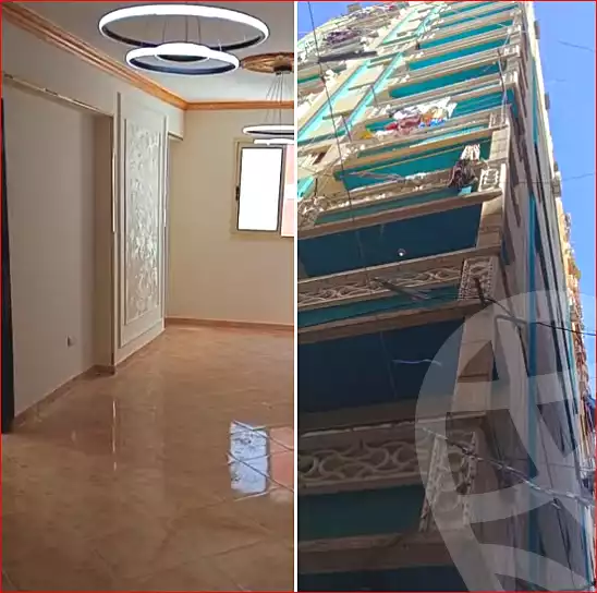 https://aqarmap.com.eg/ar/listing/7302939-for-sale-alexandria-el-mandara-shr-jml-bd-lnsr