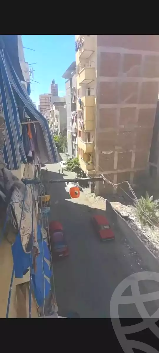 https://aqarmap.com.eg/en/listing/7305453-for-rent-alexandria-lsywf-shamaa