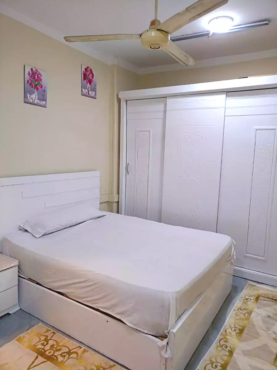 https://aqarmap.com.eg/en/listing/7306637-for-rent-cairo-manial-el-rawda-st