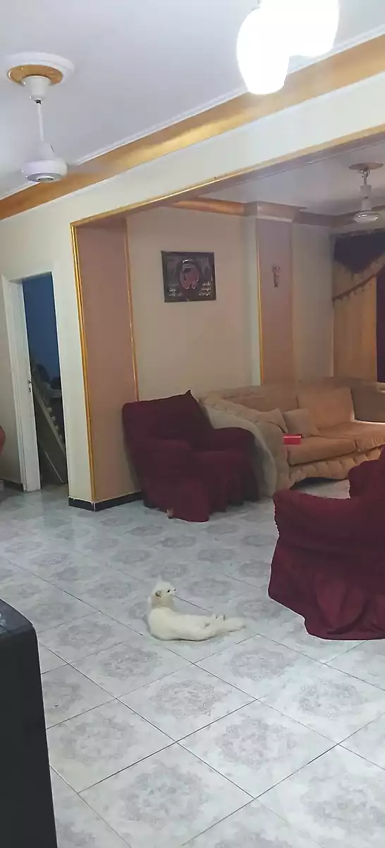 https://aqarmap.com.eg/ar/listing/7308106-for-sale-cairo-faisal-kafr-tohormos