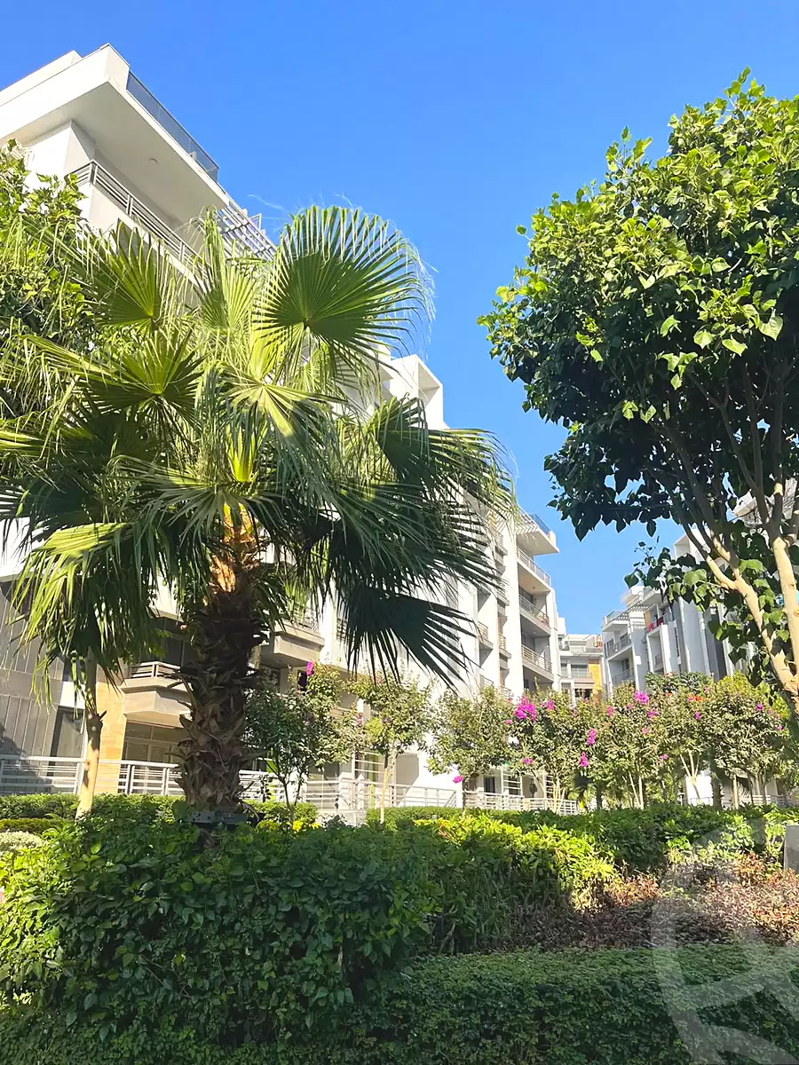 https://aqarmap.com.eg/en/listing/7309287-for-sale-cairo-new-cairo-compounds-the-icon-gardens-compound-style-home