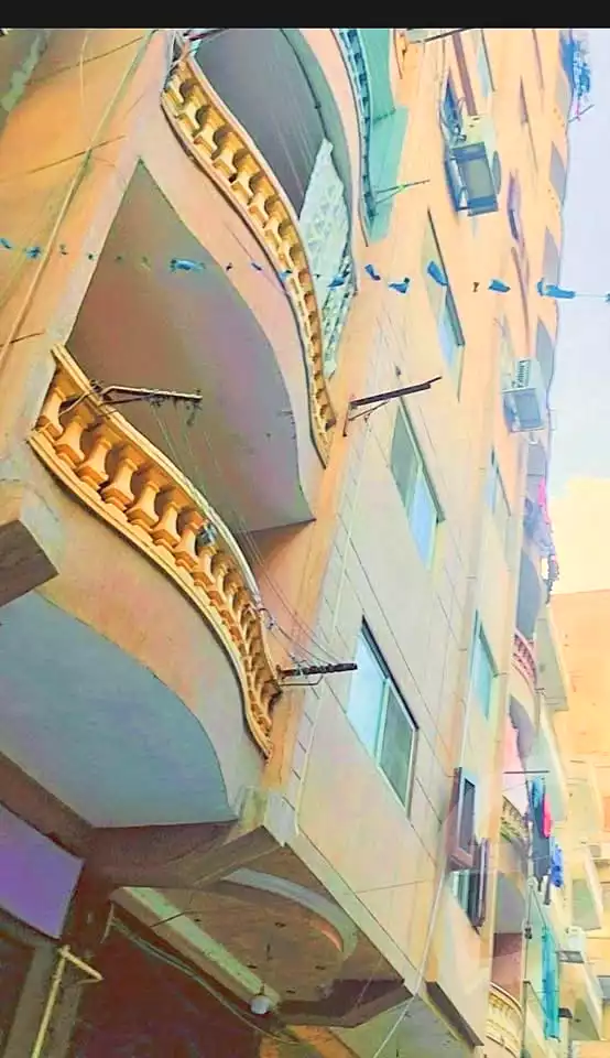 https://aqarmap.com.eg/en/listing/7310220-for-sale-cairo-el-haram-shareaa-khatem-el-morsalen