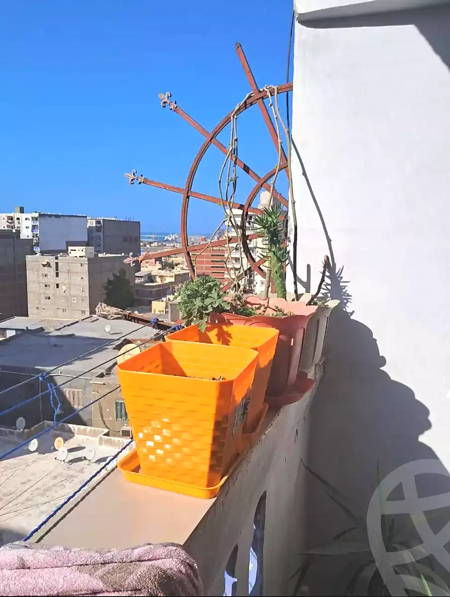 https://aqarmap.com.eg/ar/listing/7310258-for-sale-alexandria-al-agamy-lbytsh-el-zohour-st