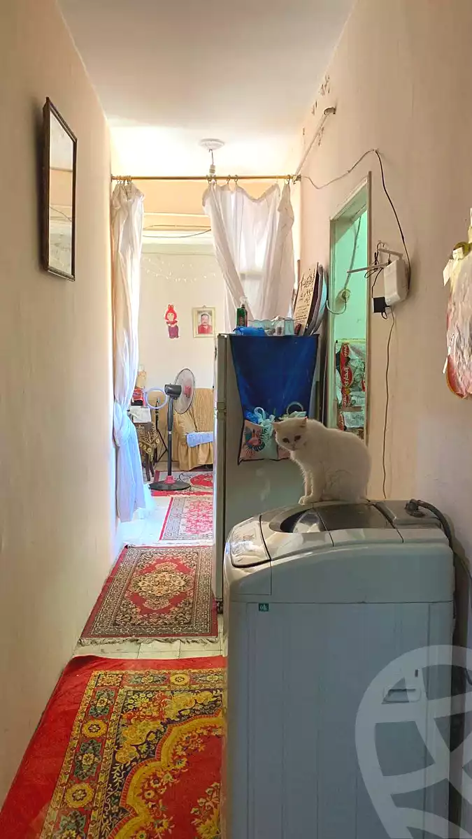 https://aqarmap.com.eg/ar/listing/7310650-for-sale-alexandria-rs-ltyn