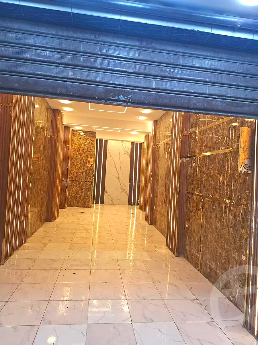 https://aqarmap.com.eg/ar/listing/7314755-for-rent-alexandria-bakoos-cinema-layla-st