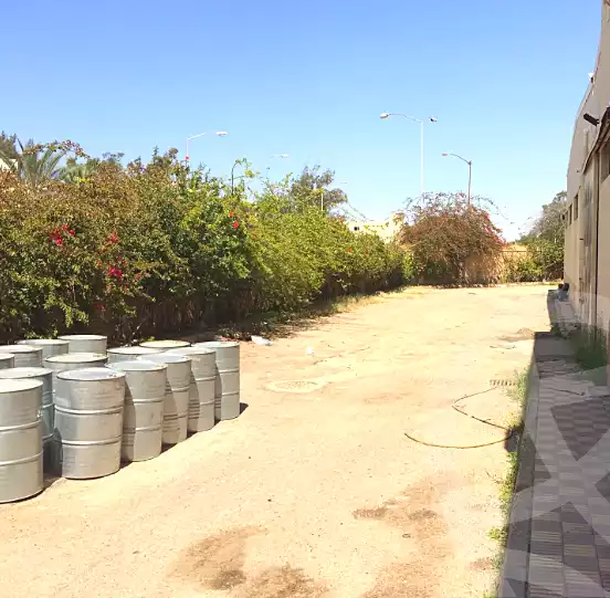 https://aqarmap.com.eg/ar/listing/7315259-for-sale-alexandria-el-amreya-margham