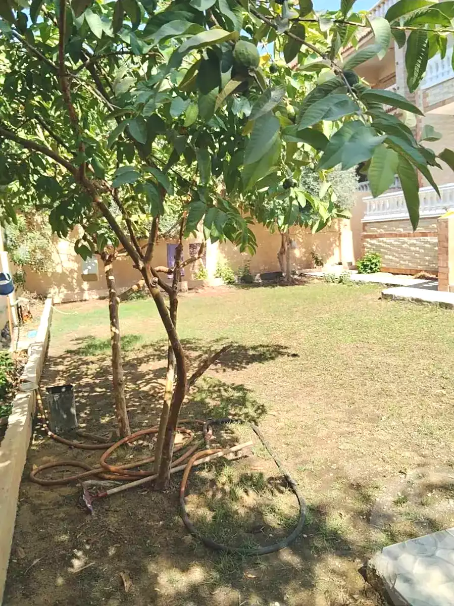 https://aqarmap.com.eg/ar/listing/7315615-for-sale-alexandria-abu-talat