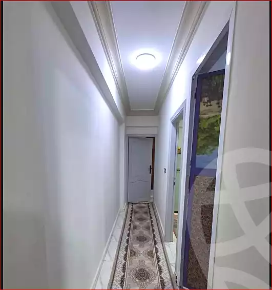 https://aqarmap.com.eg/en/listing/7316811-for-sale-alexandria-lsywf-el-falki-street-16-el-eslah