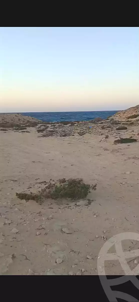 https://aqarmap.com.eg/ar/listing/7316805-for-sale-marsa-matruh-marsa-matrouh-city-alam-el-roum-st