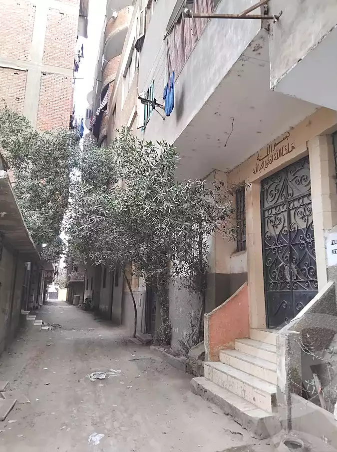 https://aqarmap.com.eg/en/listing/7317442-for-sale-cairo-ljyz-el-warraq