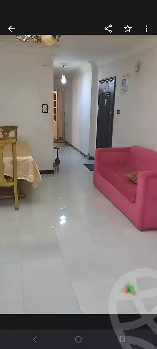 https://aqarmap.com.eg/ar/listing/7317487-for-sale-cairo-ain-shams-jsr-lswys-gamal-abd-el-naser-st