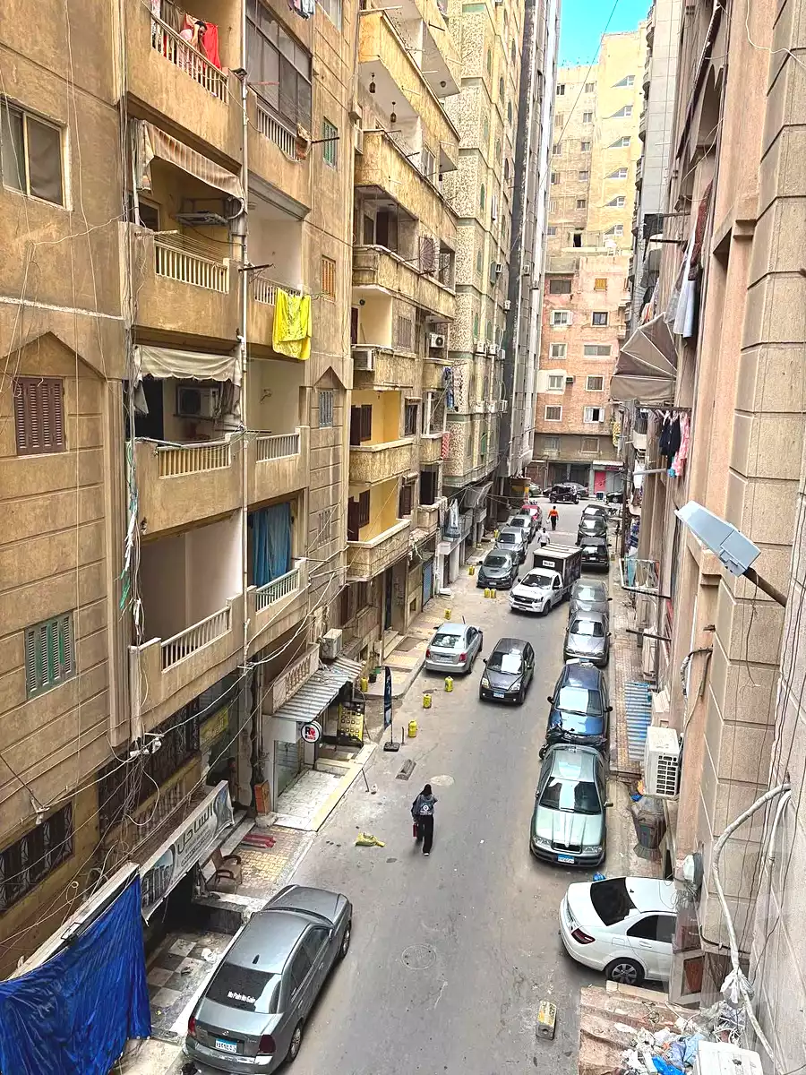 https://aqarmap.com.eg/en/listing/7318237-for-sale-alexandria-miami-iskandar-ibrahim-st