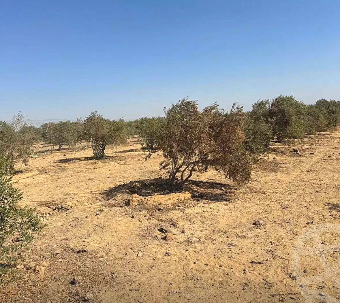 https://aqarmap.com.eg/ar/listing/7318408-for-sale-el-fayoum-asyut-rd