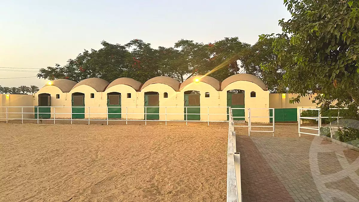 https://aqarmap.com.eg/en/listing/7319782-for-sale-cairo-el-mansuriyyah-el-saliba