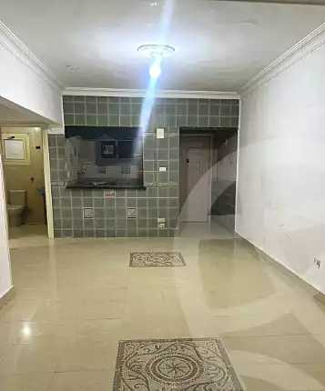 https://aqarmap.com.eg/en/listing/7321669-for-rent-cairo-nasr-city-el-hay-el-thamin-mostafa-el-nahaas-st