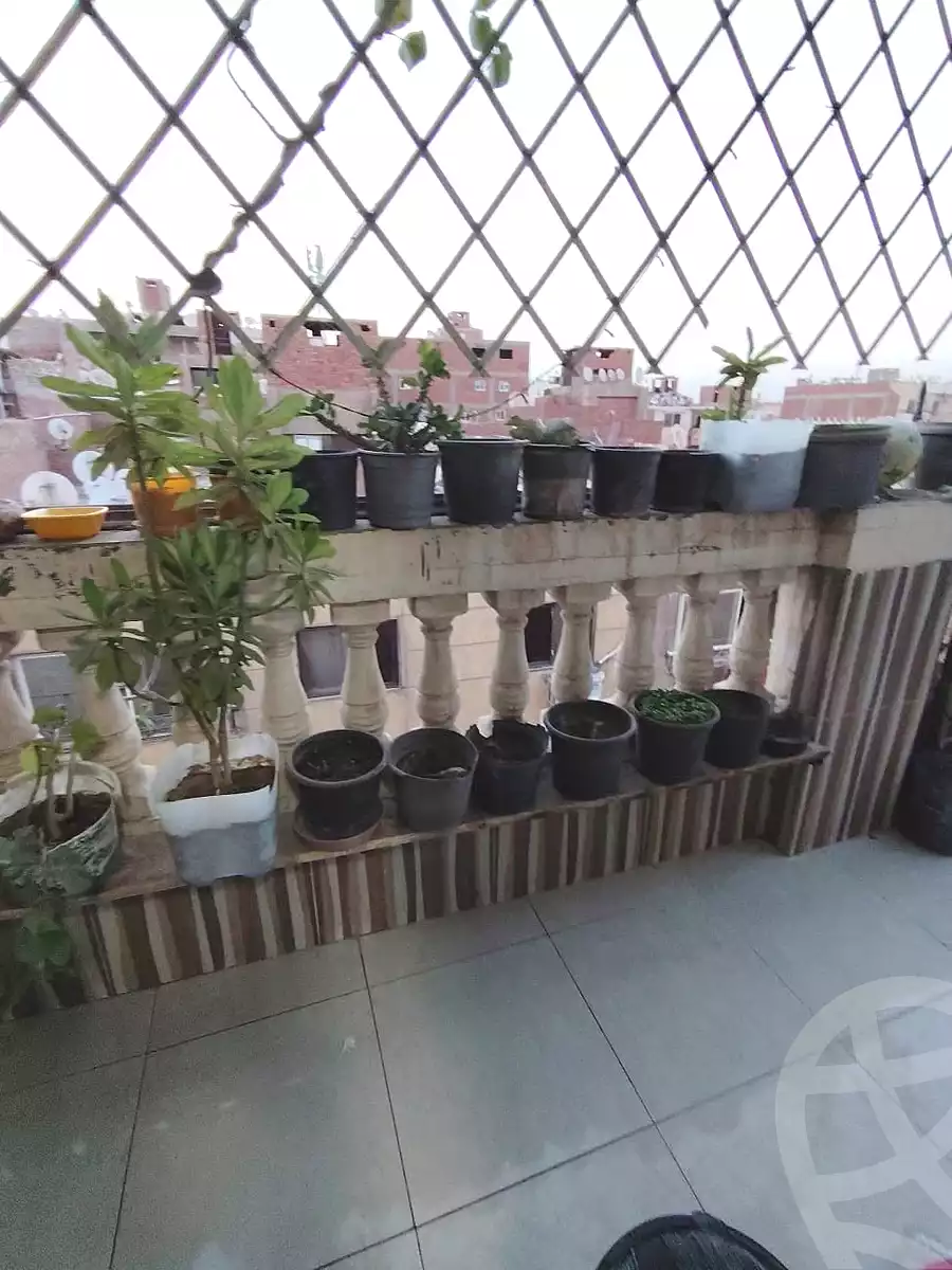 https://aqarmap.com.eg/ar/listing/7322828-for-rent-cairo-el-haram-kyrw-mwl