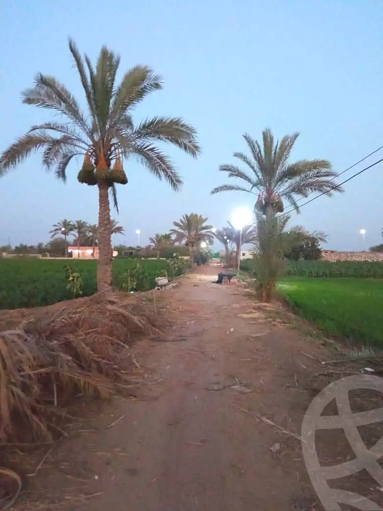 https://aqarmap.com.eg/ar/listing/7322993-for-sale-dakahlia-gamasa-15-may-city