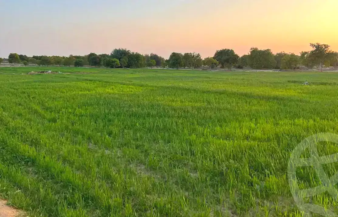 https://aqarmap.com.eg/en/listing/7324302-for-sale-ismailia-el-qantara