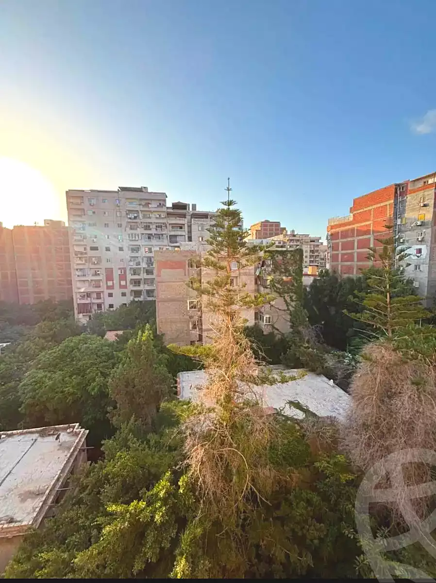 https://aqarmap.com.eg/en/listing/7328426-for-sale-alexandria-al-agamy-lbytsh