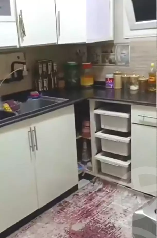 https://aqarmap.com.eg/en/listing/7333742-for-sale-cairo-ain-shams-ahmed-esmat-st