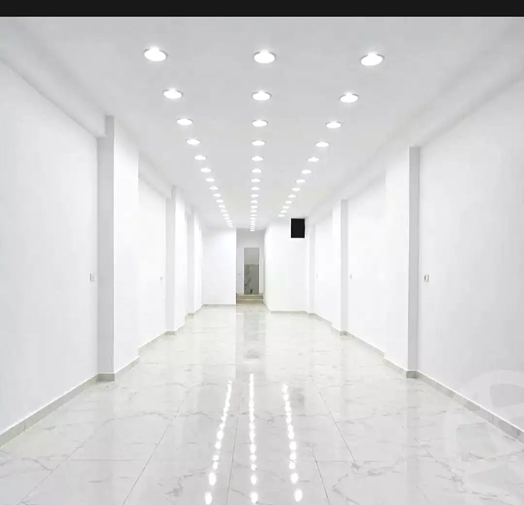 https://aqarmap.com.eg/ar/listing/7335082-for-rent-alexandria-ganaklis-shr-mrtdy-bsh