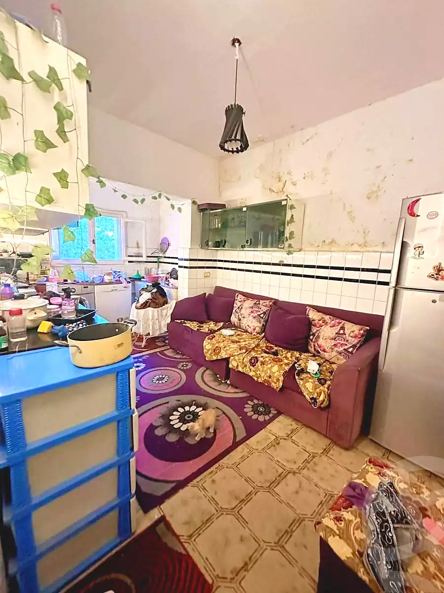 https://aqarmap.com.eg/en/listing/7338705-for-sale-alexandria-al-agamy-lbytsh-bianchiii-street-11
