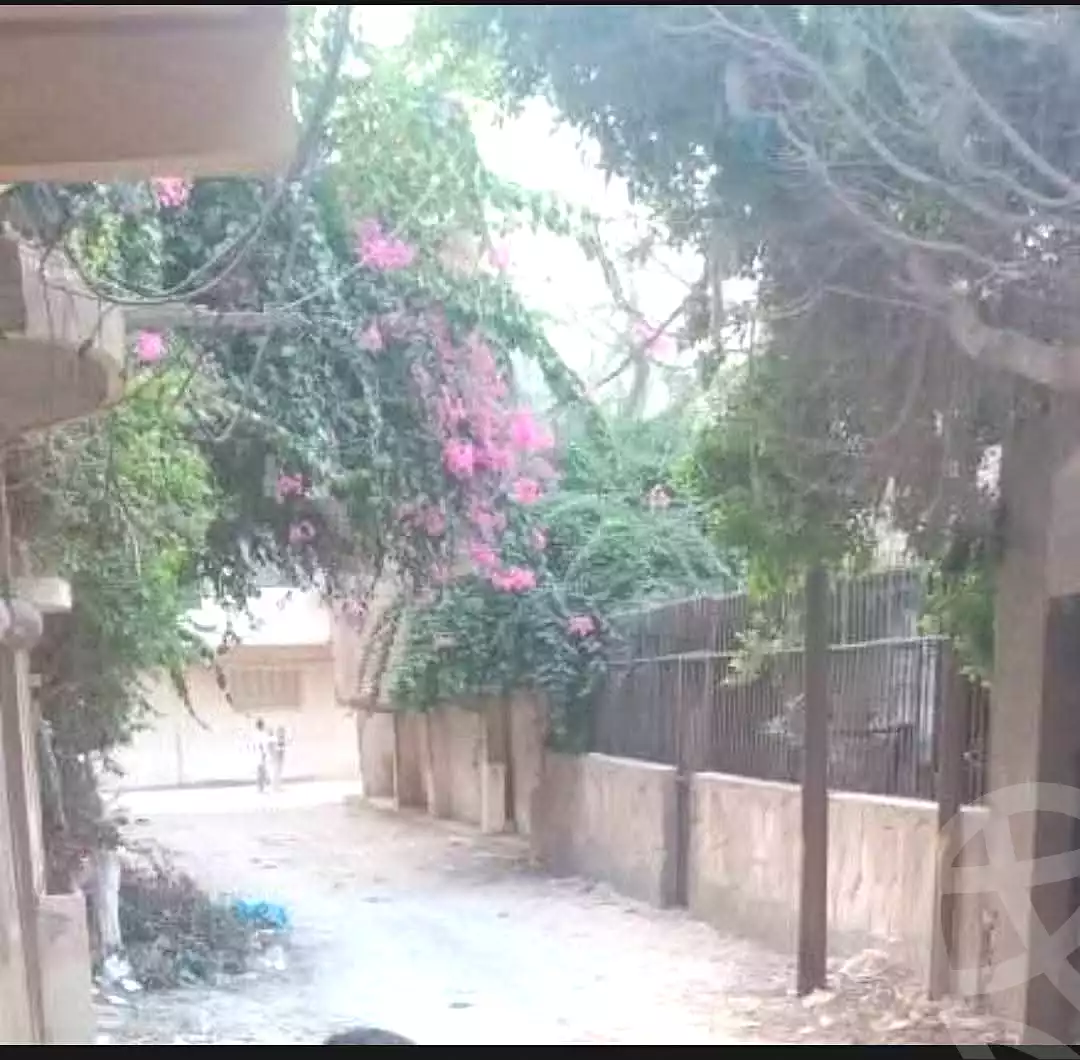 https://aqarmap.com.eg/ar/listing/7338721-for-sale-alexandria-al-agamy-lbytsh-shahr-al-assal-st