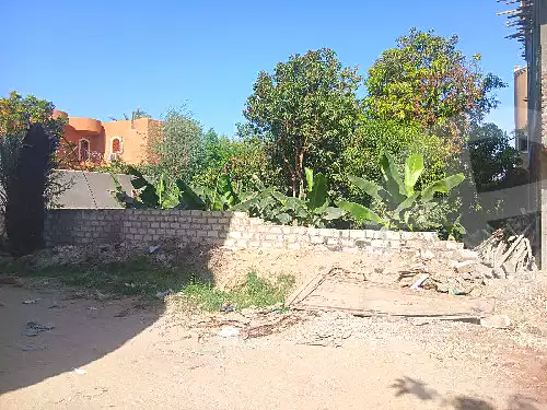 https://aqarmap.com.eg/en/listing/6496646-for-sale-luxor-luxor-city-el-awameya
