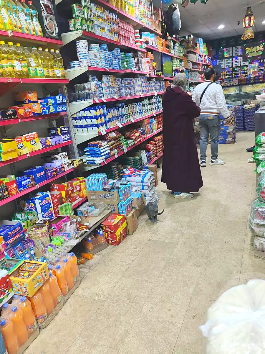 https://aqarmap.com.eg/en/listing/7342332-for-sale-alexandria-mntq-fr-y-blskndry-el-awayed