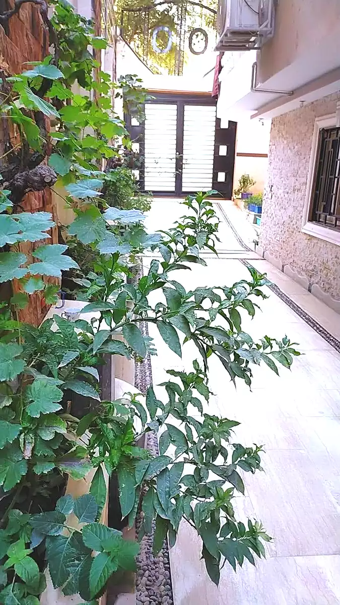 https://aqarmap.com.eg/ar/listing/7343124-for-rent-cairo-hadayek-el-ahram-lmntq-t