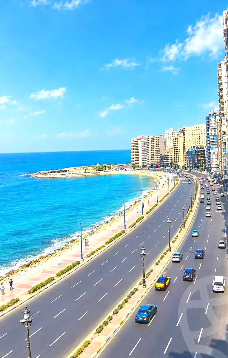 https://aqarmap.com.eg/en/listing/7343517-for-sale-alexandria-sydy-bshr-tryq-ljysh