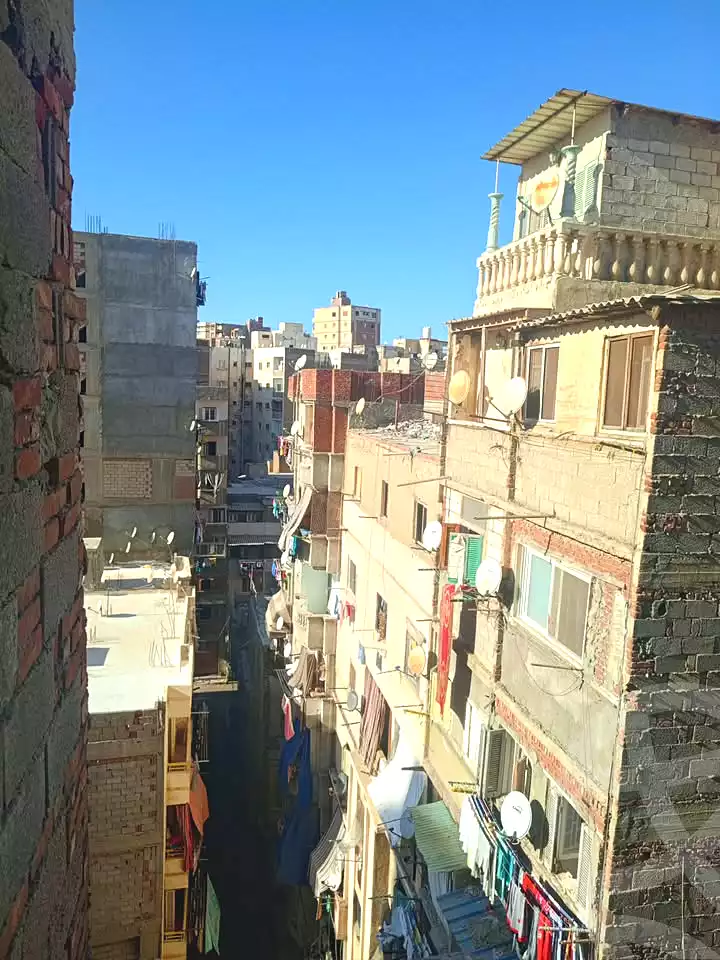 https://aqarmap.com.eg/ar/listing/7343667-for-sale-alexandria-mansheya