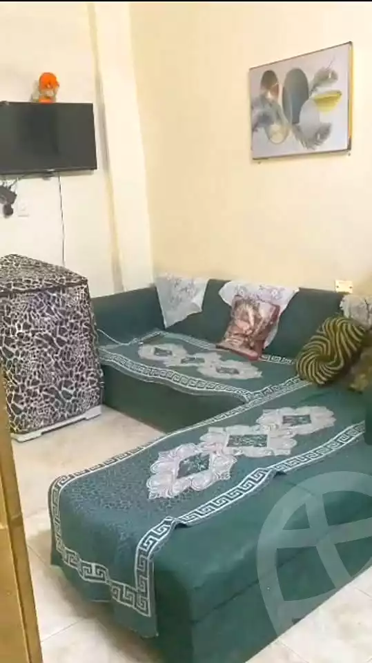 https://aqarmap.com.eg/en/listing/7345692-for-sale-cairo-el-haram-el-lebeny-el-magzar-el-aly-st