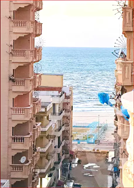 https://aqarmap.com.eg/ar/listing/7348819-for-sale-alexandria-al-agamy-shataa-el-nakheel