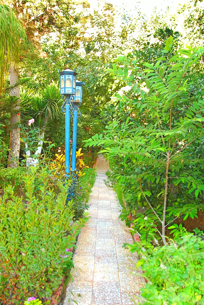https://aqarmap.com.eg/ar/listing/7351113-for-sale-alexandria-al-agamy-bw-ywsf-el-forn-st