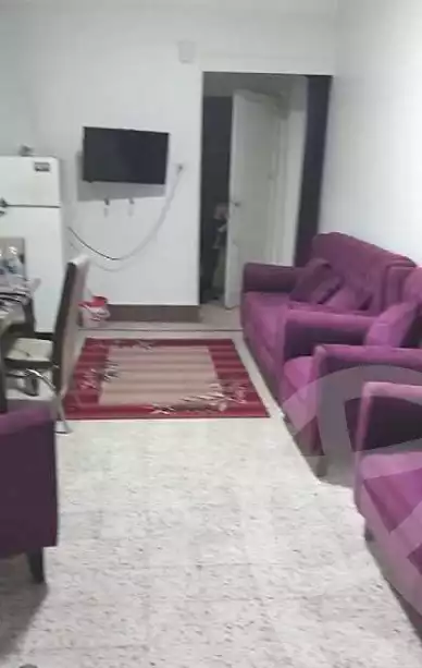 https://aqarmap.com.eg/ar/listing/7355656-for-rent-cairo-manial
