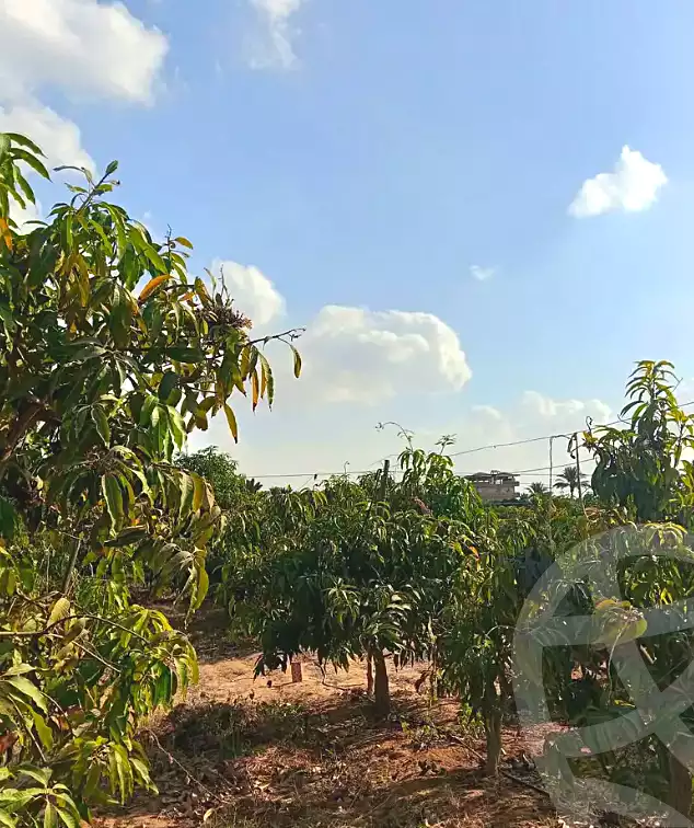 https://aqarmap.com.eg/ar/listing/7356847-for-sale-alexandria-cairo-alexandria-desert-road