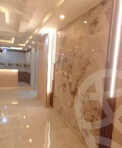 https://aqarmap.com.eg/en/listing/7362840-for-rent-cairo-faisal