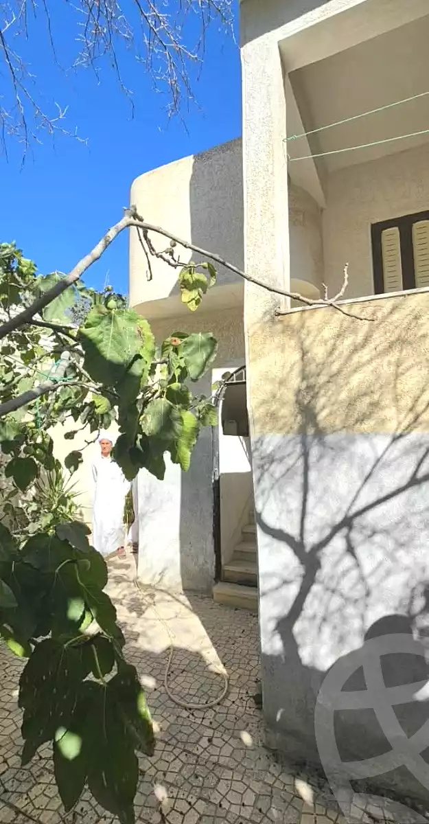 https://aqarmap.com.eg/ar/listing/7367997-for-sale-alexandria-abu-talat
